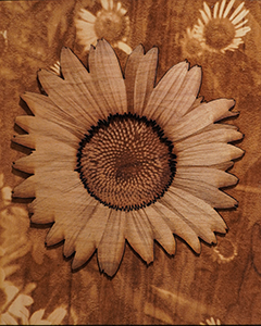 Image of Michelle Lockwood's laser engraving on wood, Coneflower 1.