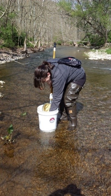 Student taking water sample in creek