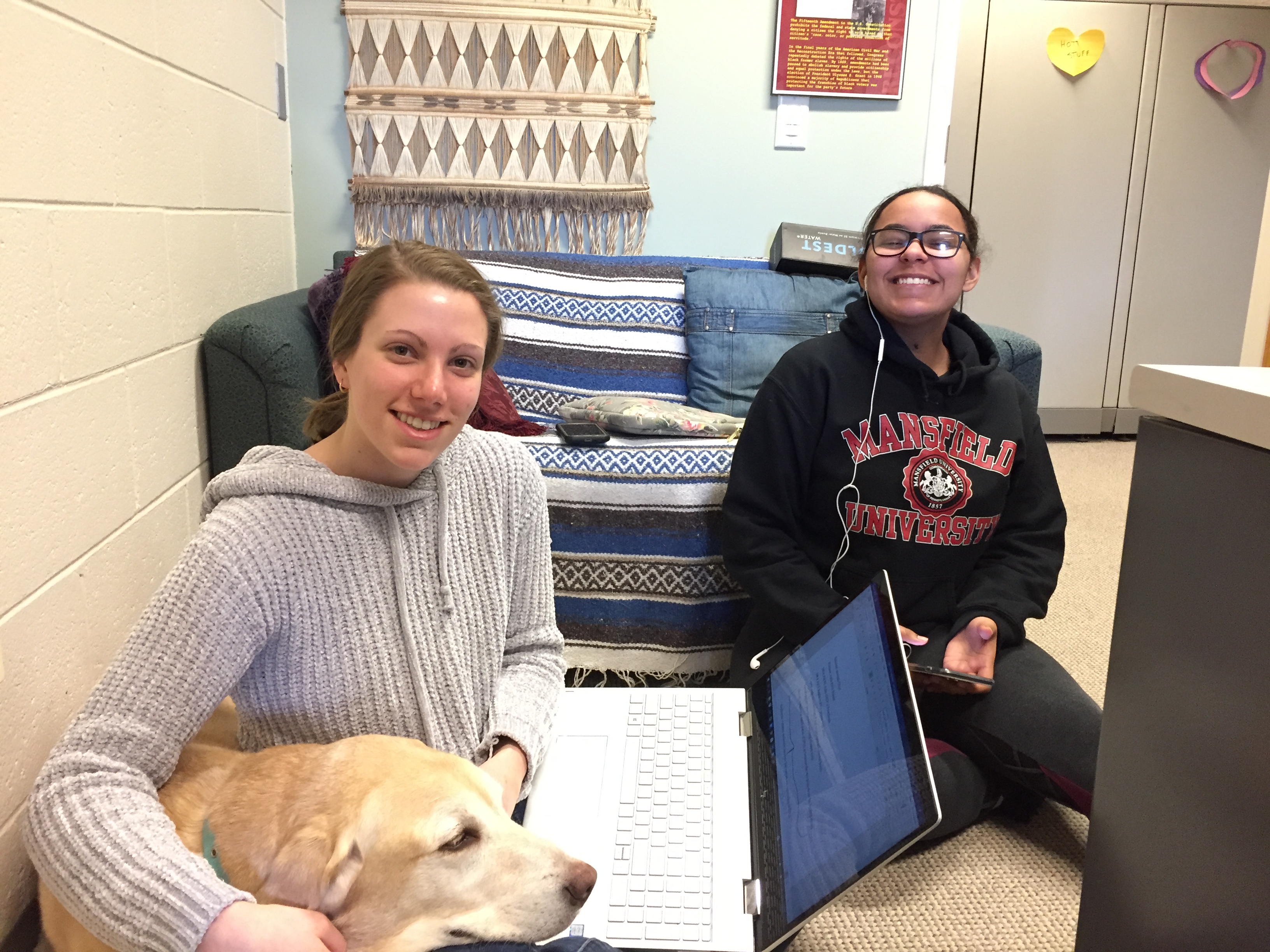 Students studying with dogs